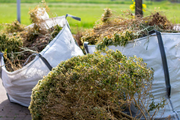 Best Electronics Removal Services  in Energy, IL