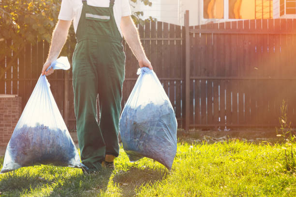 Best Office Junk Removal  in Energy, IL